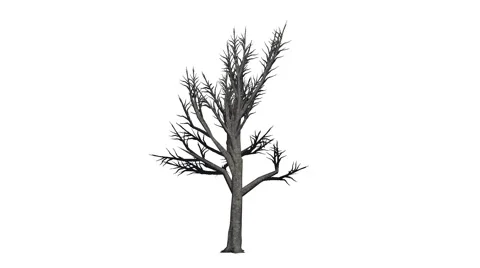 Tree granny smith apple winter on white background and alpha channel Stock Footage 40587466