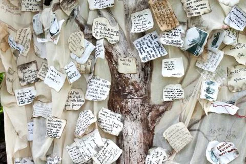 Tree of gratitude Stock Photos