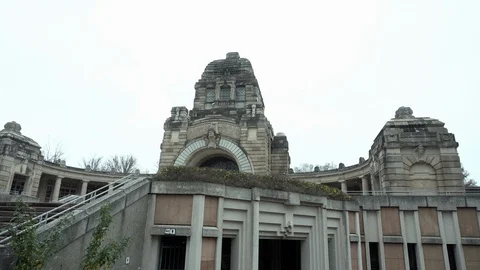 Tree in graveyard Stock Footage 100385584