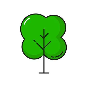 Tree green elm isolate forest plant thin line icon Stock Illustration