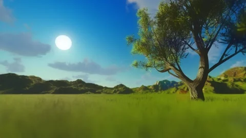 A tree on a green field. Stock Footage 139405691