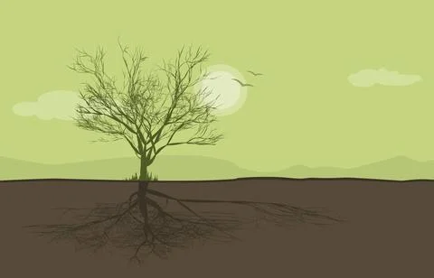 Tree green An image of a landscape with a tree Copyright: xZoonar.com/maga... Stock Photos