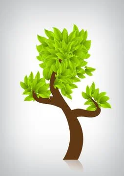 Tree with green leafage Stock Illustration