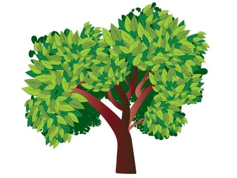 Tree with Green Leafage Stock Illustration