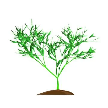 The Tree with green leafage on a whie background, vector illustration Stock Illustration