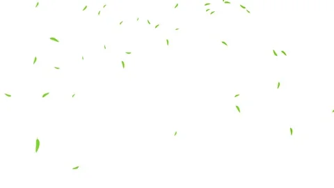 Tree Green Leaves Falling Down Background, Realistic Nature Animation. Vídeos de archivo 336613426