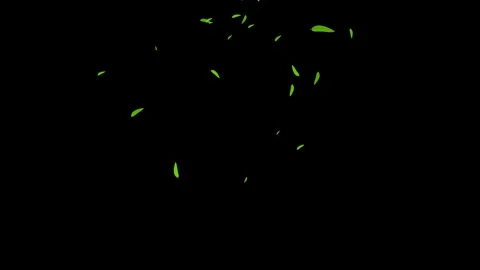 Tree Green Leaves Falling Down Background, Realistic Nature Animation. Stock-Footage 336613428