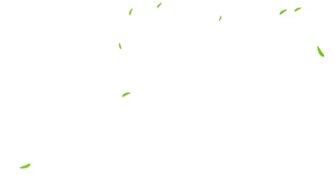 Tree Green Leaves Falling Down Background, Realistic Nature Animation. Vídeo Stock 336613449