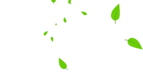 Tree Green Leaves Falling Down Background, Realistic Nature Animation. Vídeos de archivo 336613520