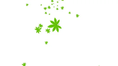 Tree Green Leaves Falling Down Background, Realistic Nature Animation. Video stock 336613552