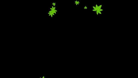 Tree Green Leaves Falling Down Background, Realistic Nature Animation. 库存影片 336613561