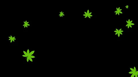 Tree Green Leaves Falling Down Background, Realistic Nature Animation. 库存影片 336613573