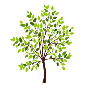 Tree with green leaves Stock Illustration