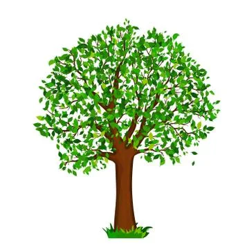 Tree with green leaves Stock Illustration