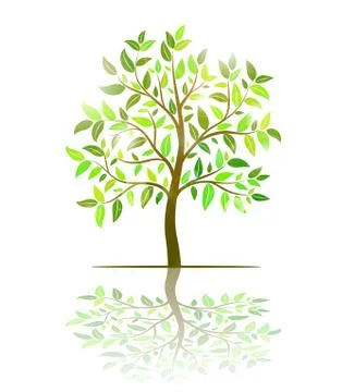 Tree with green leaves vector Illustrazione stock