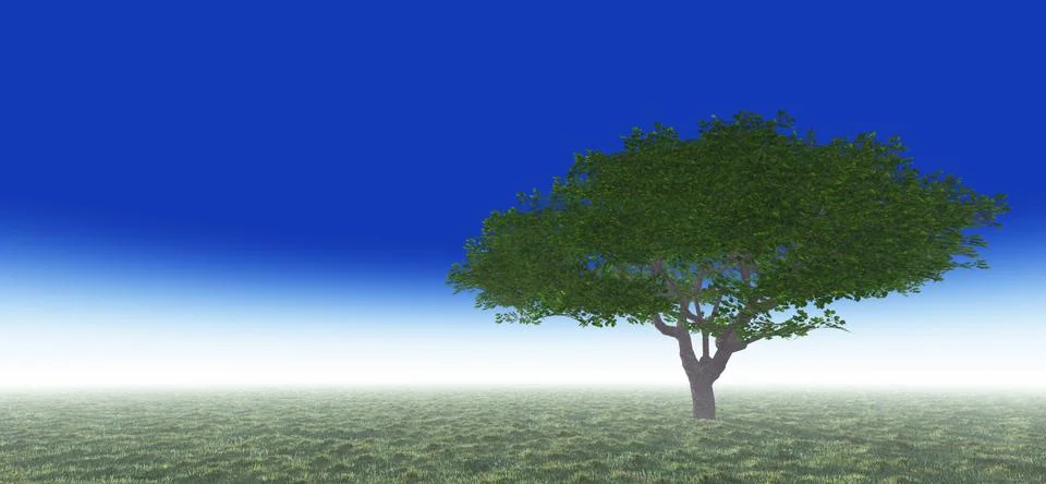 Tree in green meadow Illustrazione stock