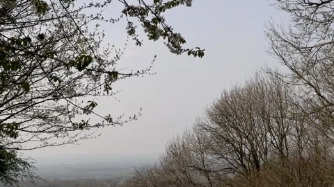 Tree to ground drop 스톡 동영상 136960948