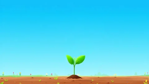 Tree Grow Animation Stock Footage 315630204