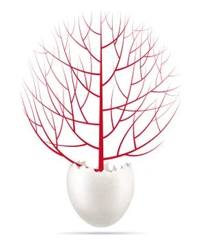 Tree grow in the eggshell. Greenhouse Stock Illustration
