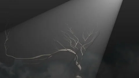 Tree grow Stock Footage 292218790