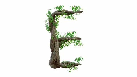 Tree grow or vine in the shape of the English text. Letter font E.  動画素材 245132581
