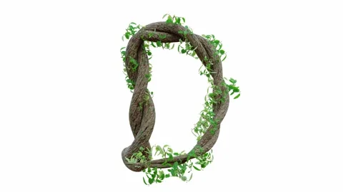 Tree grow or vine in the shape of the English text. Letter font D.  Video stock 245132584