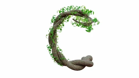 Tree grow or vine in the shape of the English text. Letter font C.  Video stock 245132589