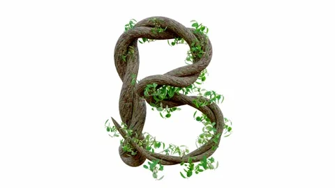 Tree grow or vine in the shape of the English text. Letter font B.  Stock Footage 245132596