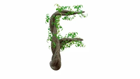 Tree grow or vine in the shape of the English text. Letter font F.  動画素材 245132615