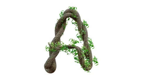Tree grow or vine in the shape of the English text. Letter font A. Video stock 245132620