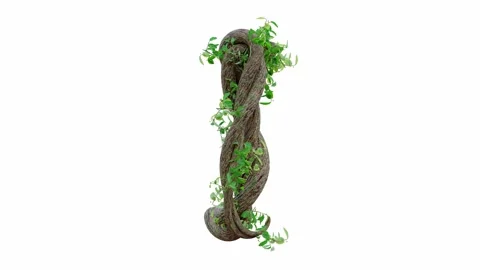 Tree grow or vine in the shape of the English text. Letter font I.  Video stock 245132627