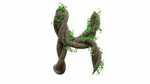 Tree grow or vine in the shape of the English text. Letter font H. Stock Footage 245132628