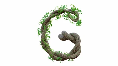 Tree grow or vine in the shape of the English text. Letter font G.  Stock Footage 245132629