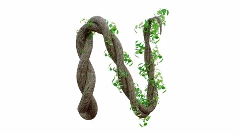 Tree grow or vine in the shape of the English text. Letter font N.  Stock Footage 245132672