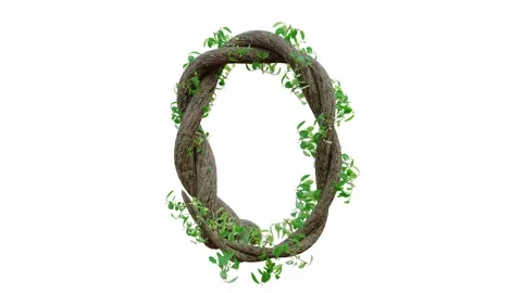 Tree grow or vine in the shape of the English text. Letter font O. Video stock 245132679