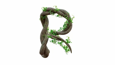 Tree grow or vine in the shape of the English text. Letter font R.  Stock Footage 245132728