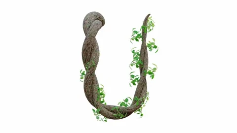 Tree grow or vine in the shape of the English text. Letter font U.  Stock Footage 245132740