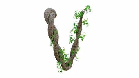 Tree grow or vine in the shape of the English text. Letter font V. 動画素材 245132745