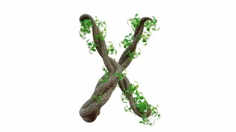 Tree grow or vine in the shape of the English text. Letter font X. Stock Footage 245132779