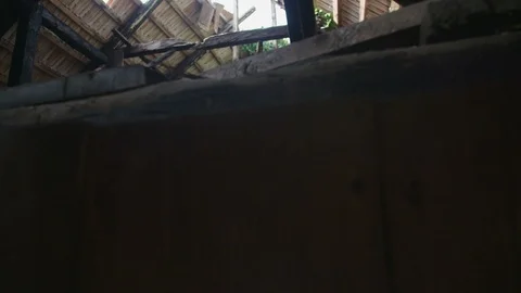 Tree growing in abandoned house 動画素材 97873791