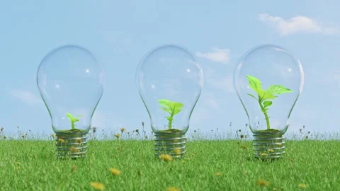 Tree growing Animation in light bulb different growth and different step. Stock Footage 245132811