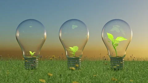 Tree growing Animation in light bulb different growth and different step.  Stock Footage 245132815