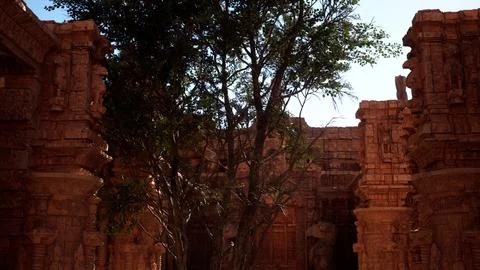 A tree growing in between two stone buildings Ilustración de archivo