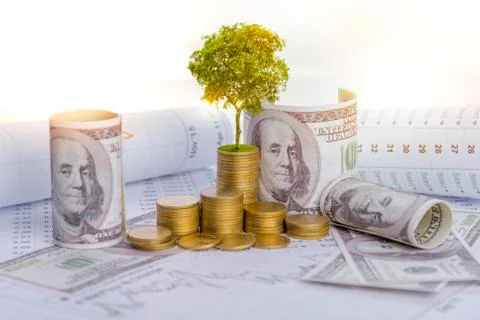 The tree is growing both on the progress of money and financial reports, alon Foto stock