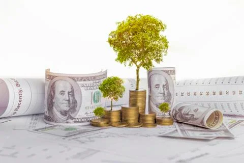 The tree is growing both on the progress of money and financial reports, alon Stock Photos