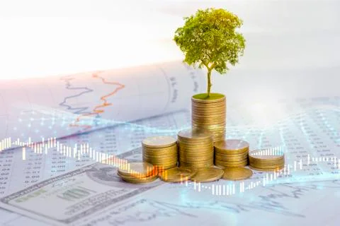 The tree is growing both on the progress of money and financial reports, alon Foto stock