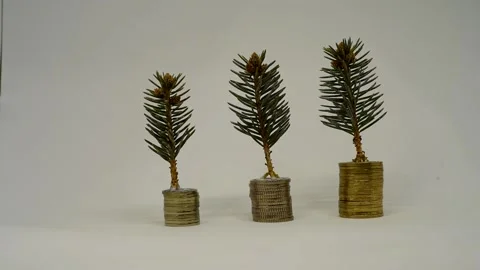 Tree growing on coins falling from the row in HD - Investment, Saving Money, and Stock Footage 157828310