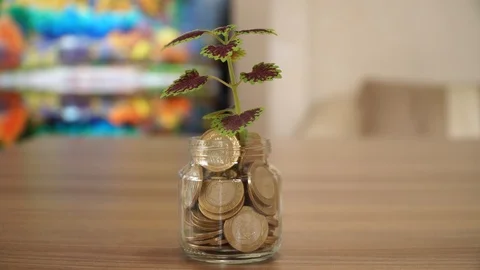 Tree Growing from Coins 動画素材 87086811