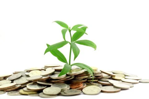 Tree growing from coins Stock Photos