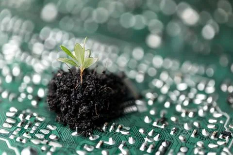 Tree growing on the converging point of computer circuit board. Green compu.. Stock Photos